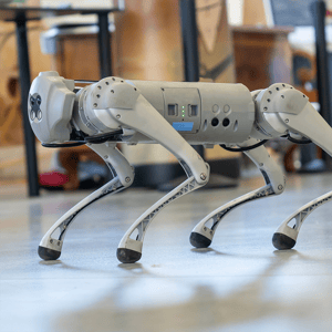 Robot Dog